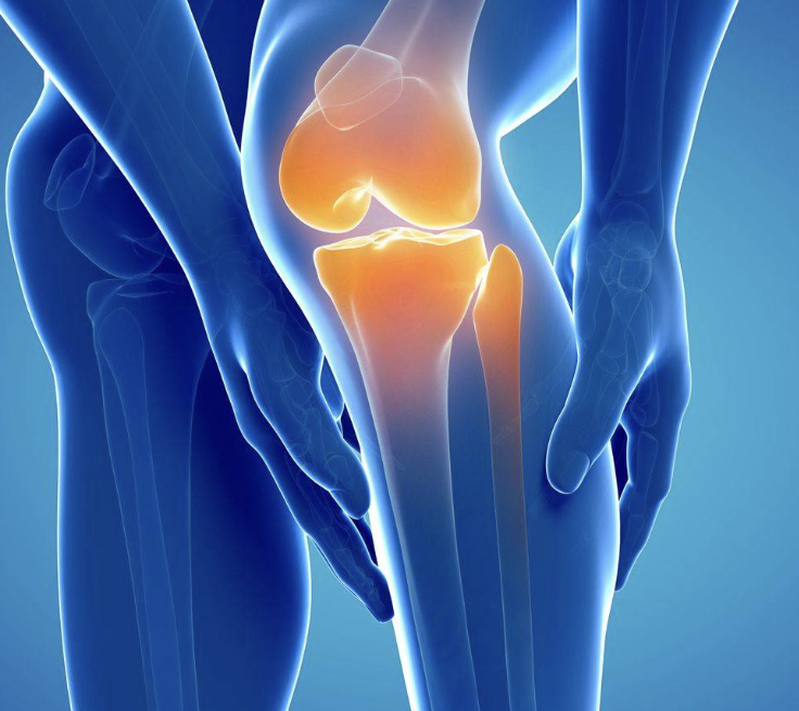 Menata Lingkungan Rumah yang Ramah bagi Mobilitas Lansia